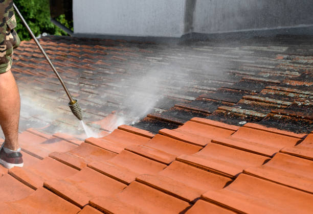 Best Pressure Washing Near Me  in Corydon, IN